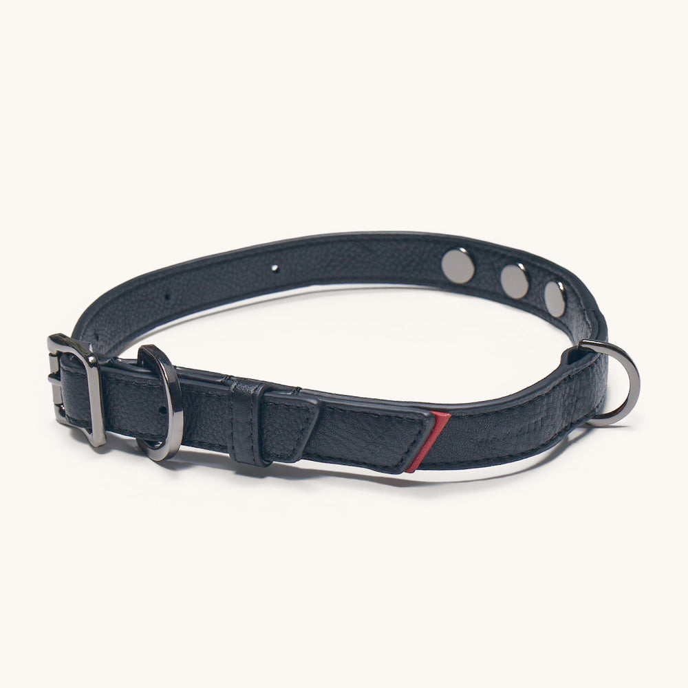Hammitt | Women's Cam Lrg - Black / Gunmetal