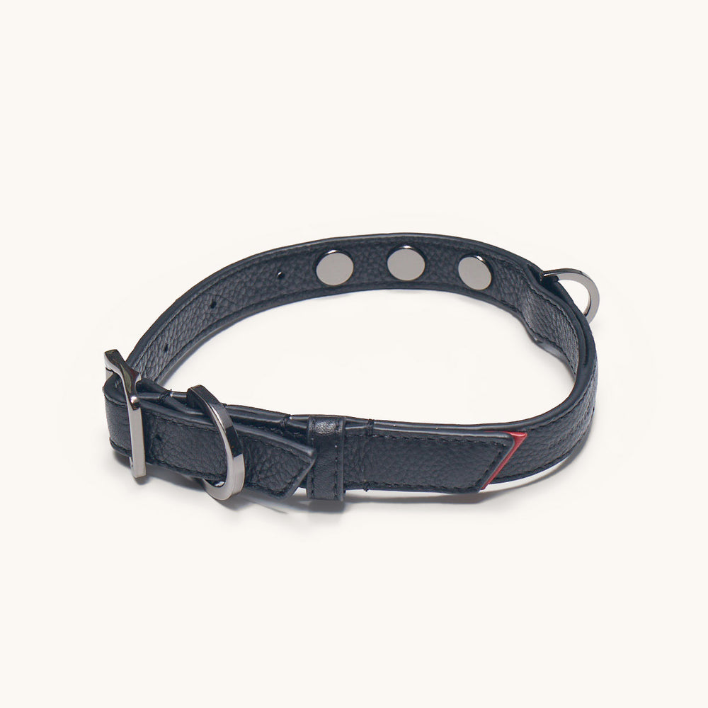 Hammitt | Women's Cam Med - Black / Gunmetal